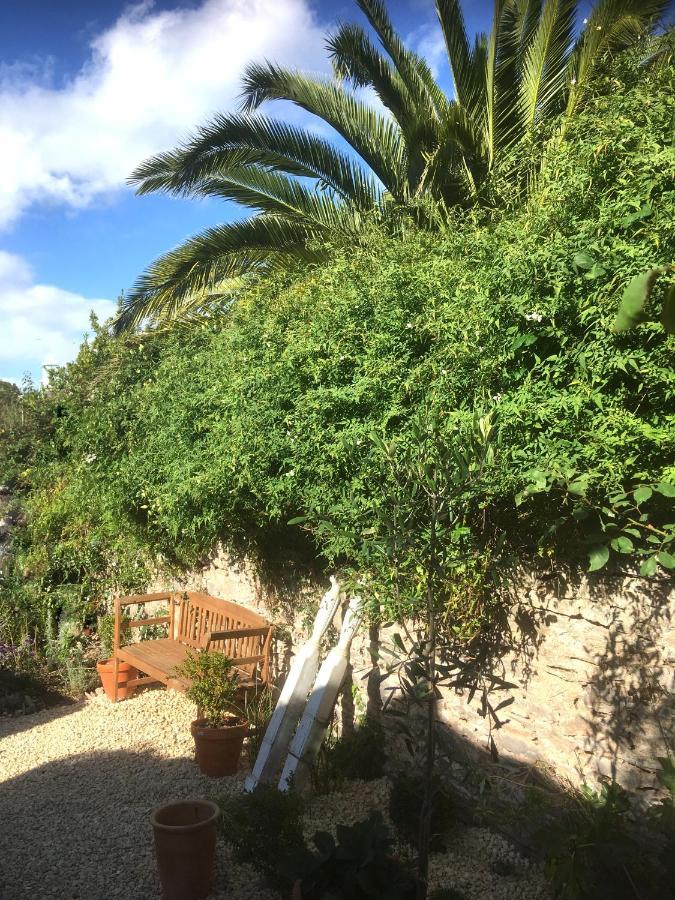 Hortus House - Regency Style With Attached Parking Hébergement de vacances *